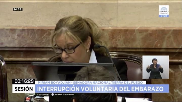 La senadora que mostró los dos pañuelos en la sesión - Fuente: Senado