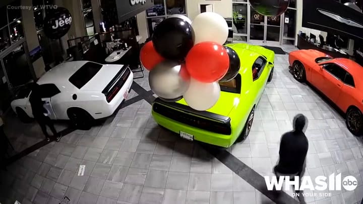 Ladrones roban autos de lujo en un concesionario de Estados Unidos en menos de un minuto