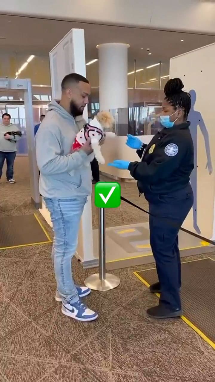 Las mascotas no deben pasar por los rayos X en el aeropuerto