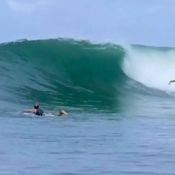 Brisa Hennessy, la surfista olímpica que cumple la cuarentena en una isla paradisíaca - Fuente: Inst