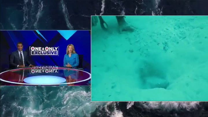 Investigadores submarinos descubrieron un lingote de oro
