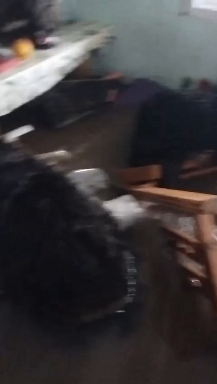 Perros inundación