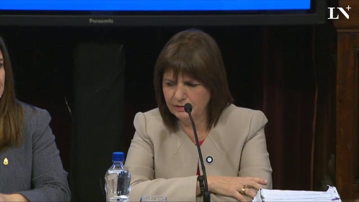 Santiago Maldonado: ante el Senado, Patricia Bullrich pidió 'no estigmatizar a la Gendarmería'