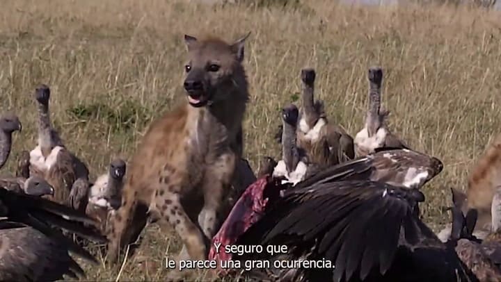 El spot del PSOE para las elecciones del Parlamento Europeo