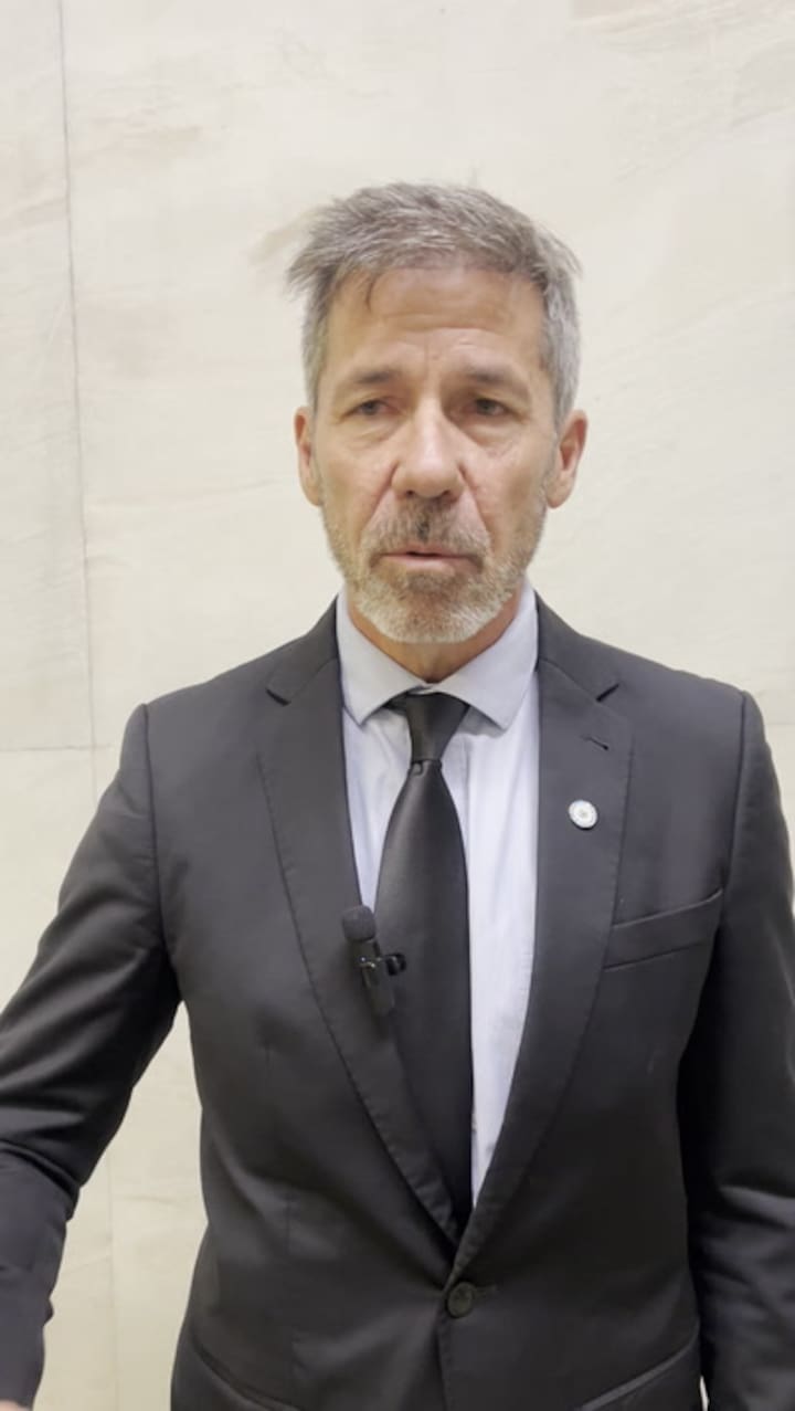 El diputado Martín Ardohain