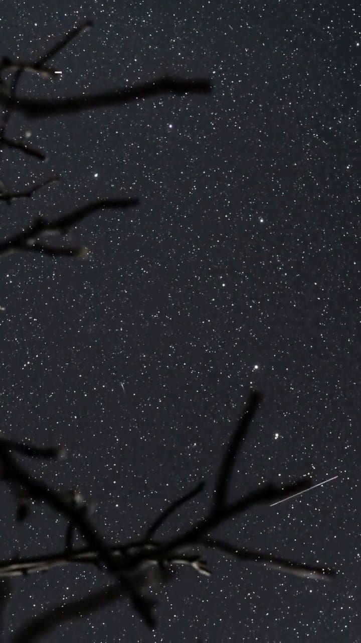 La lluvia de meteoros Delta Acuáridas sucederá en julio 2026.
