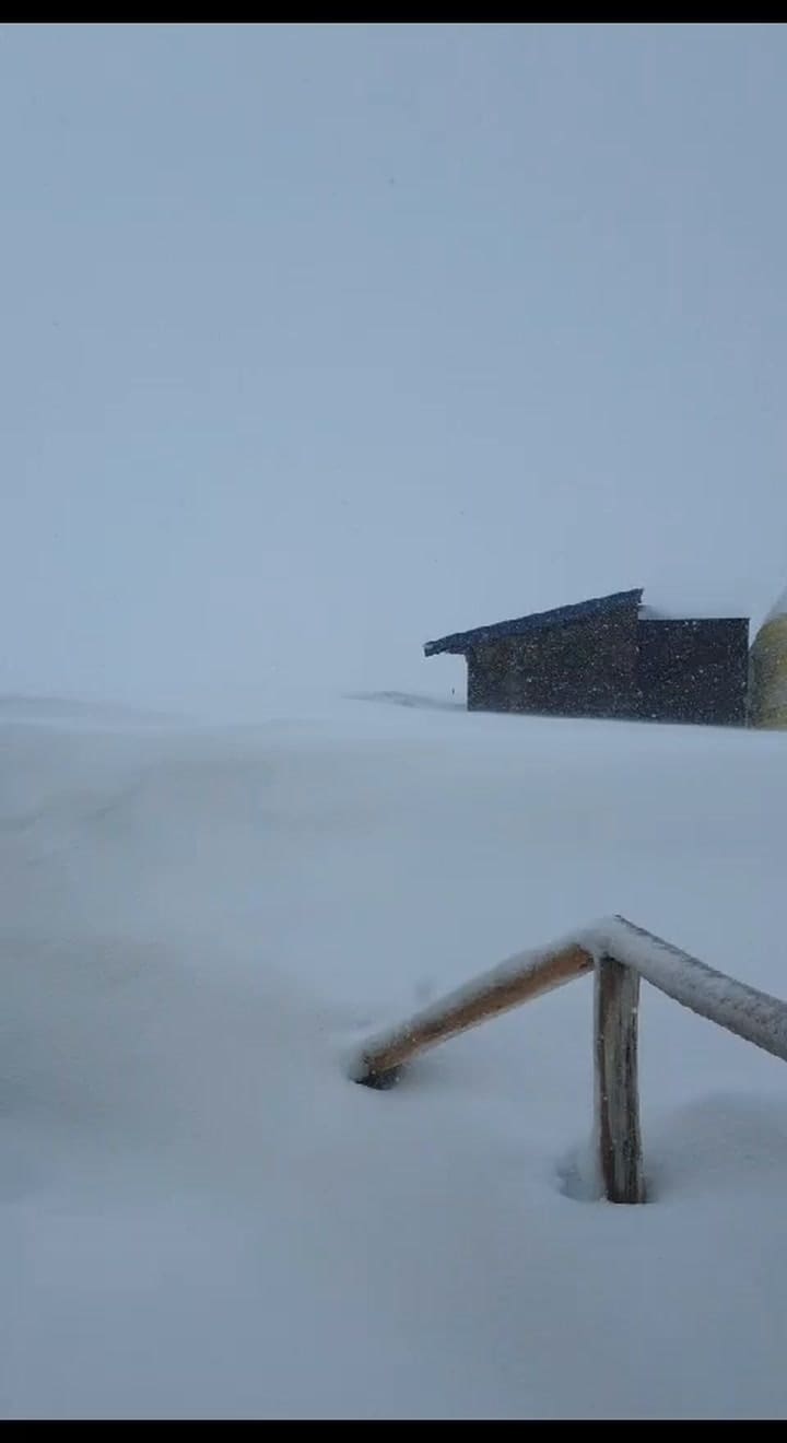 Whatsapp Video 2023-11-11 At 09.53.53