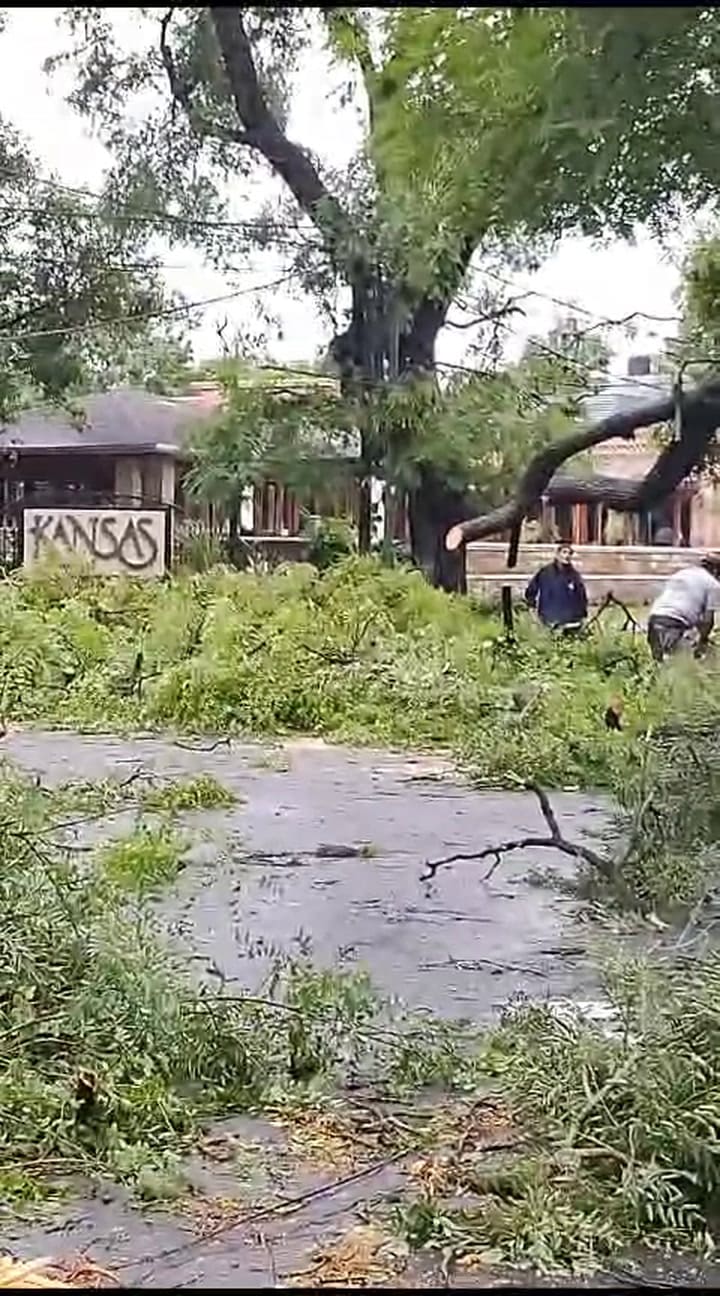 San Isidro I