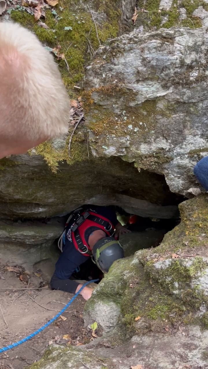 Un perro fue rescatado luego de tres días de estar con un oso