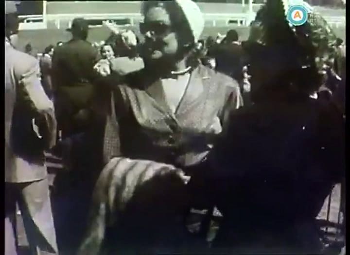 El clásico Pellegrini
