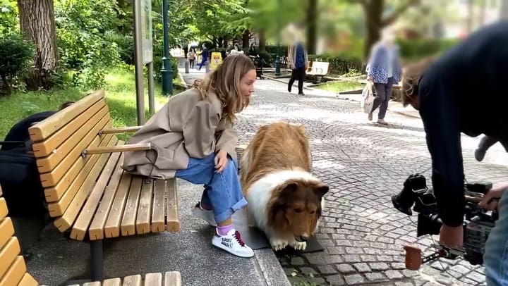 El youtuber que se transformó en perro y sorprendió a los ciudadanos en Japón