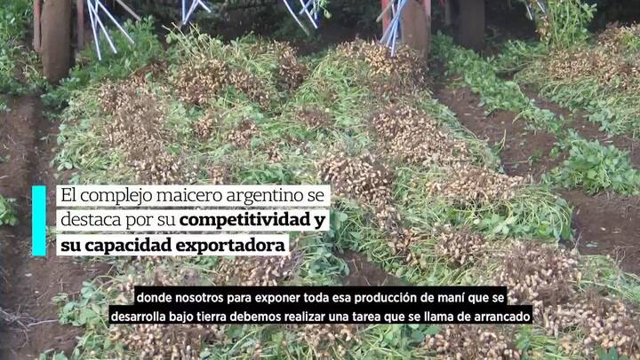 LN+ MIRAVIS DUO MANÍ