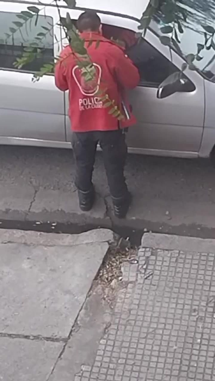 Coimas