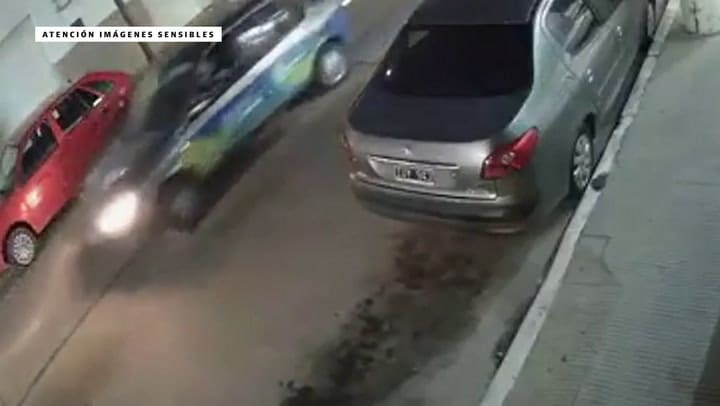 Un empleado atropelló a un perro, lo abandonó y el animal murió