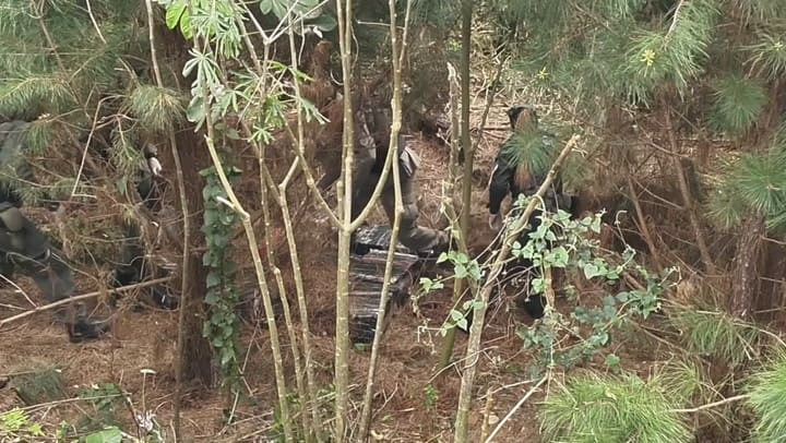 Operativo con dron en Misiones