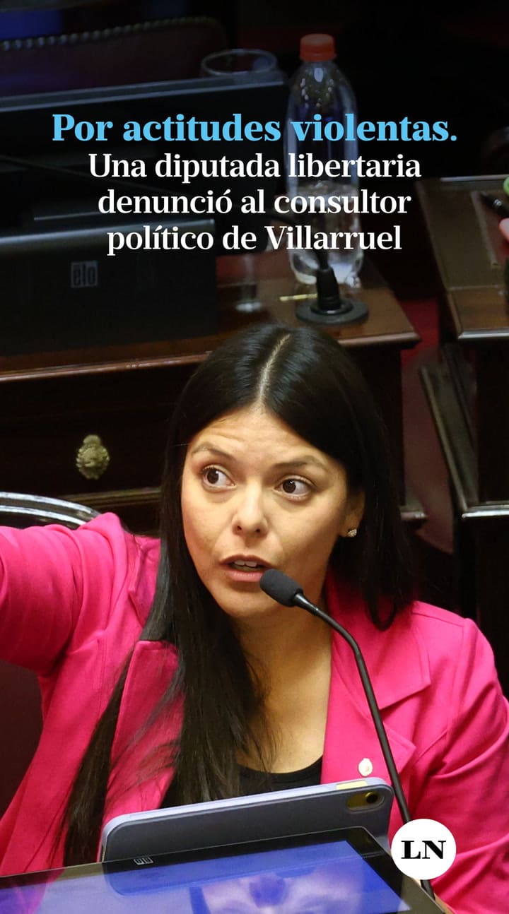 Una diputada libertaria denunció al principal consultor político de Villarruel