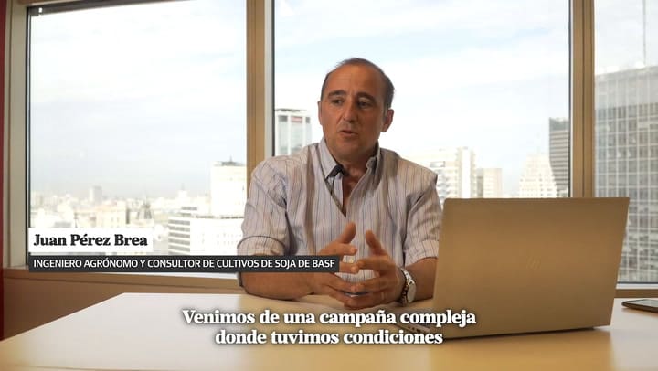 Soja: ¿Por qué optimizar su rendimiento será clave este año?