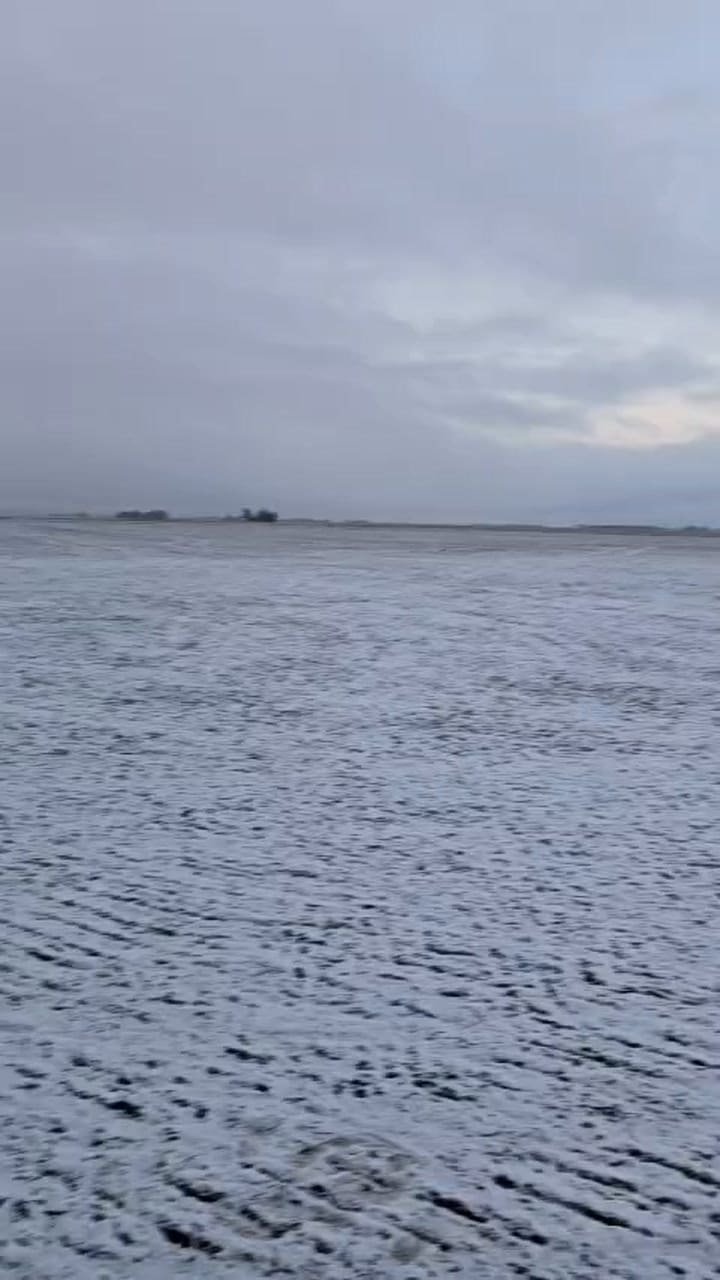 Así cayó la nieve en el sudeste de la provincia