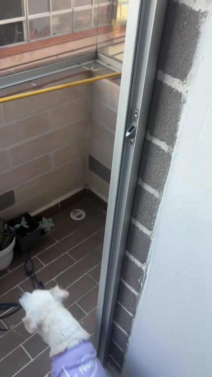 Videos y fotos del terremoto en Colombia: las imágenes más impactantes del temblor