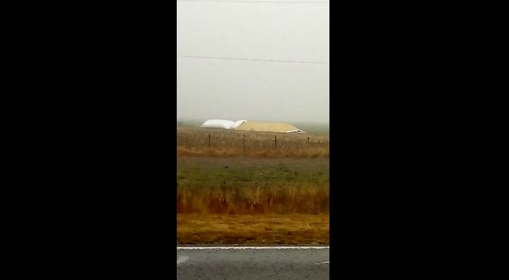 Rompieron un silobolsa en la zona de Casilda, provincia de Santa Fe