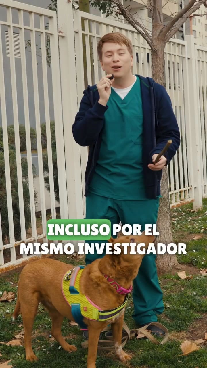 La conducta de los perros en la voz de un veterinario