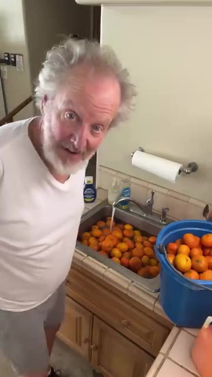 Daniel Stern cultiva mandarinas en su granja de California