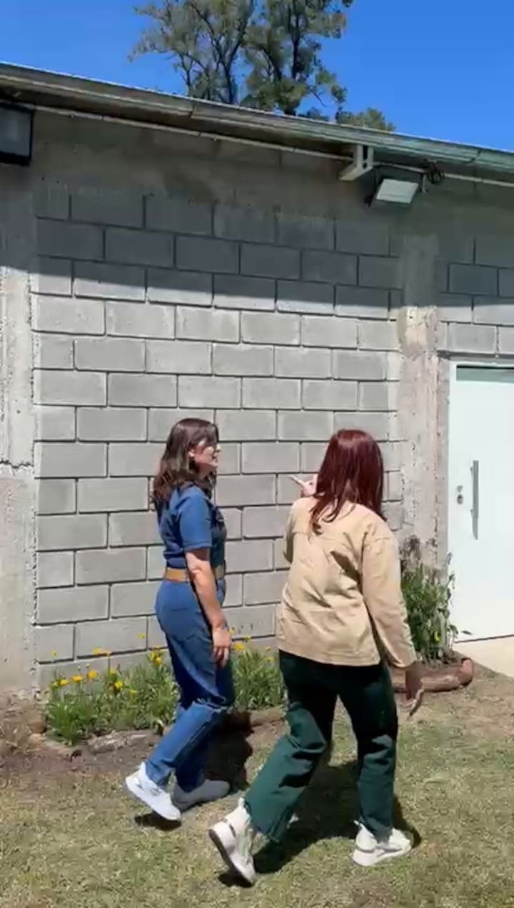 Whatsapp Video 2024-11-13 At 11.21.39