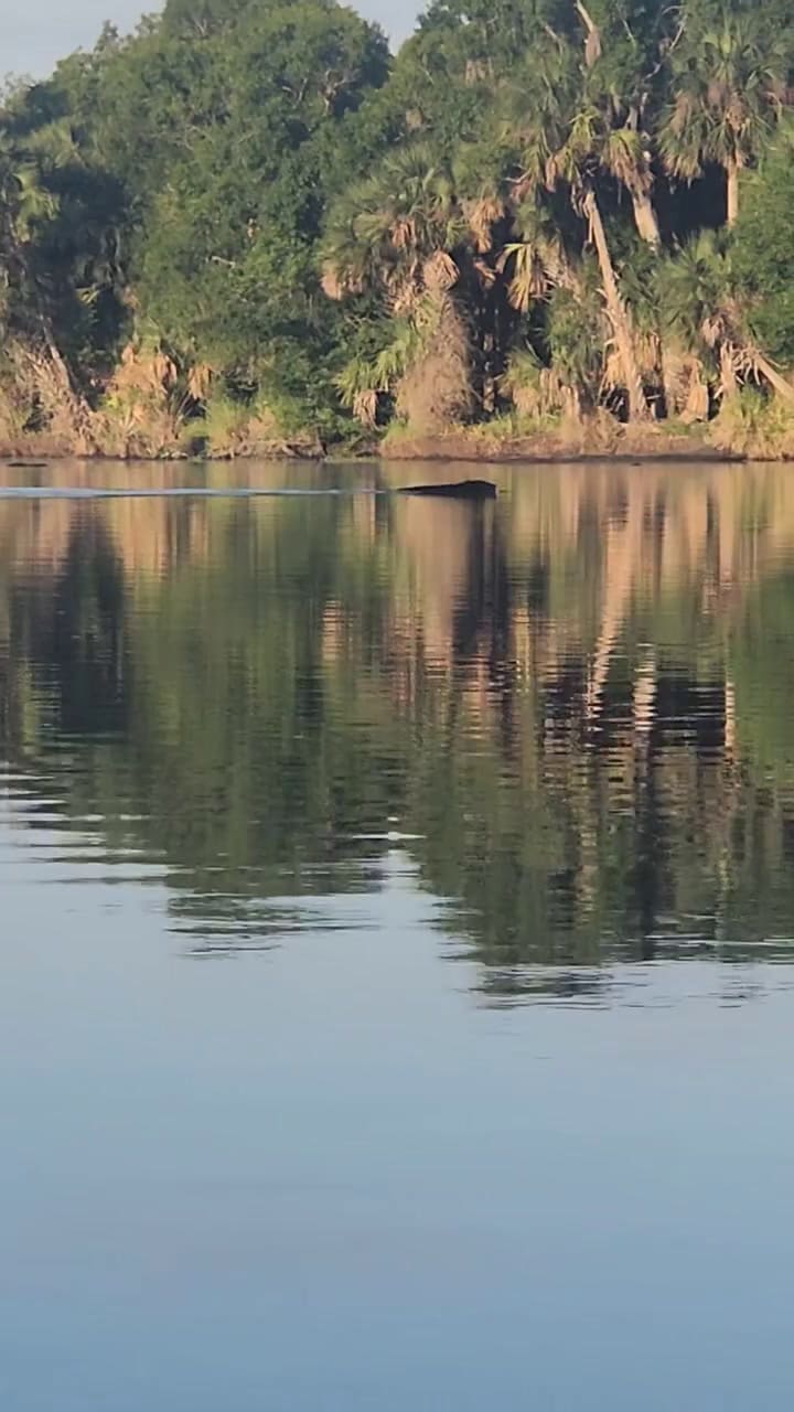 El impresionante enfrentamiento que vivió un kayakista en Florida