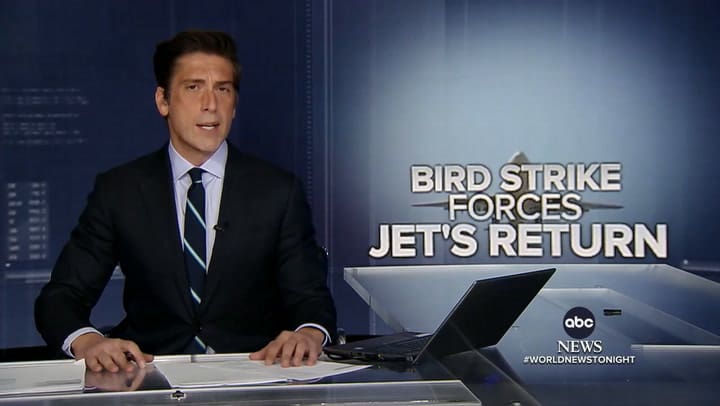 Un vuelo de United Airlines que viajaba de Chicago a Miami experimentó un choque de aves