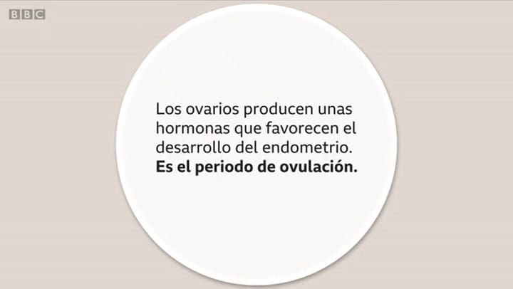 ¿Cómo es el ciclo menstrual femenino? - Fuente: BBC