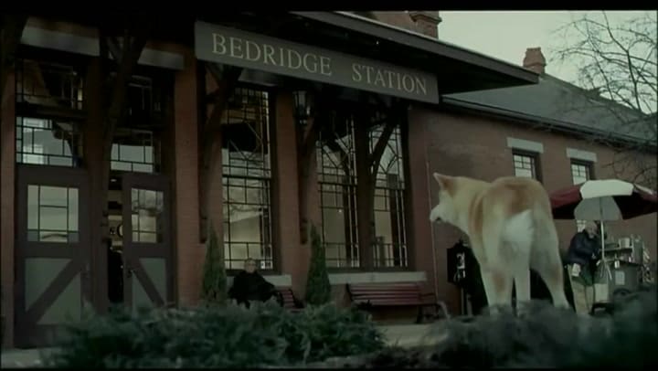 Hachiko - Trailer Español Hd