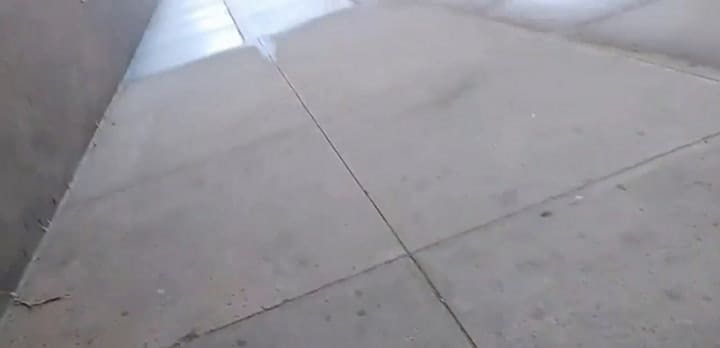 Filmaba una tubería cuando una criatura salió del interior y se dirigió hacia él