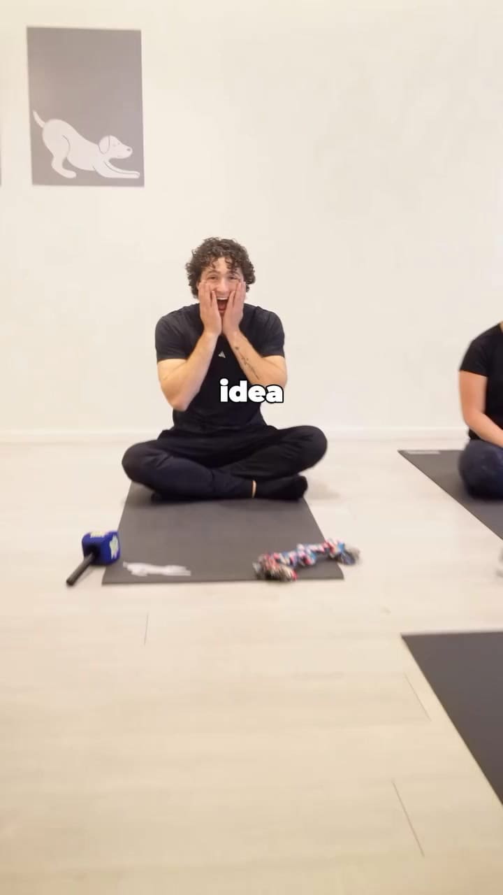 Clases de yoga con cachorros, una de las actividades de Mascotear
