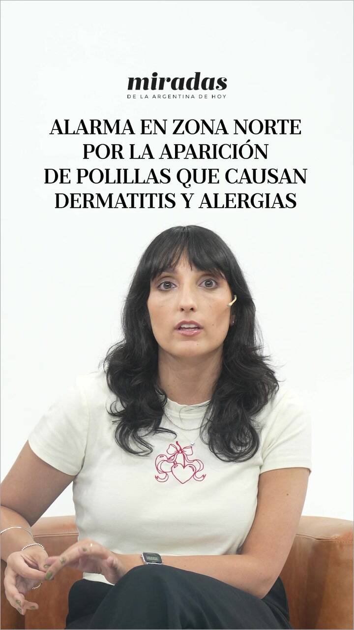 Alarma en Zona Norte por la aparición de polillas que causan dermatitis y alergias
