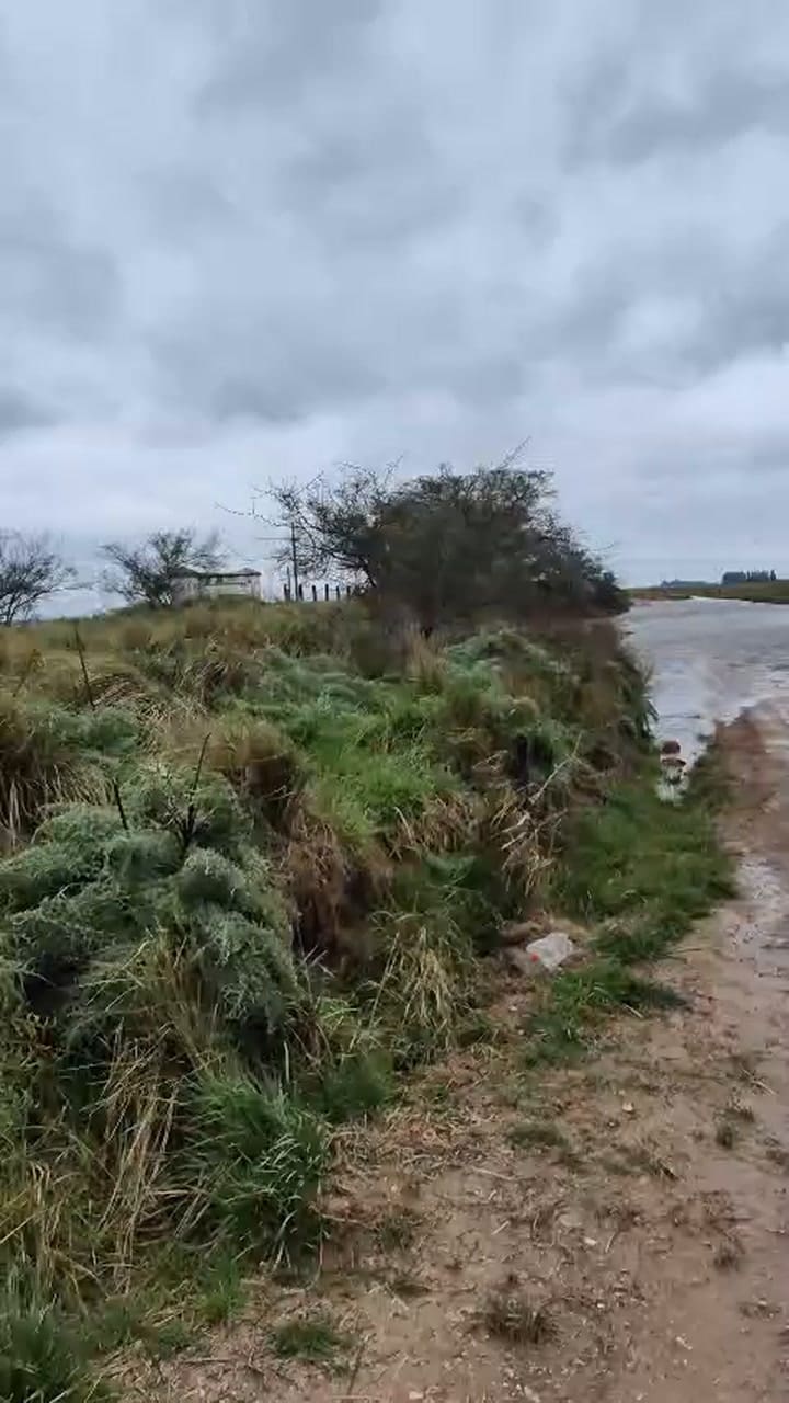 Puente en San Vicente, Provincia de Buenos Aires