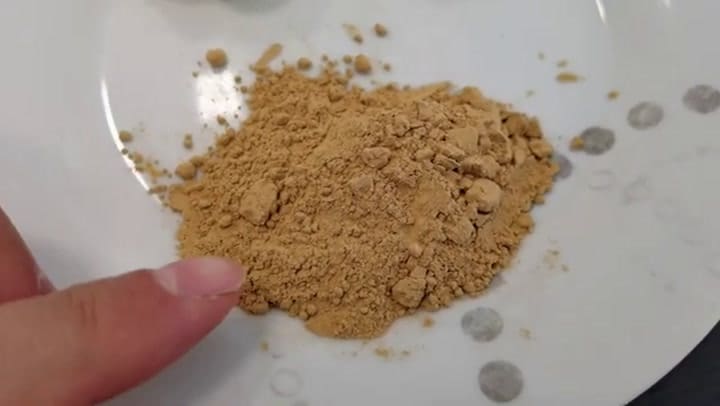 Las propiedades curativas del hongo "melena de león"