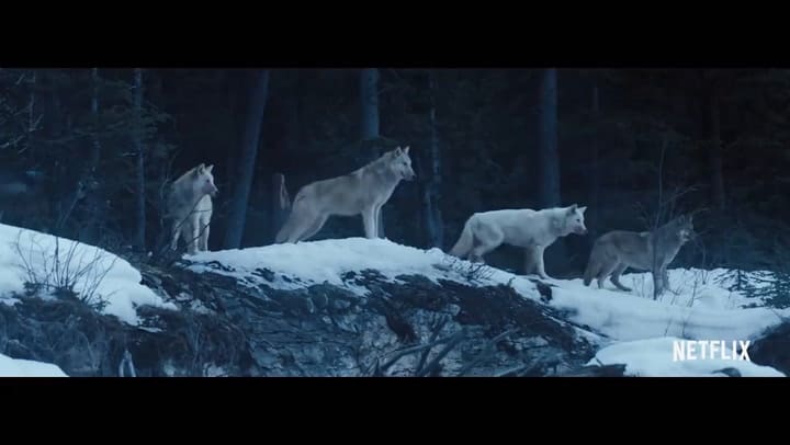 Hold the Dark - Tráiler