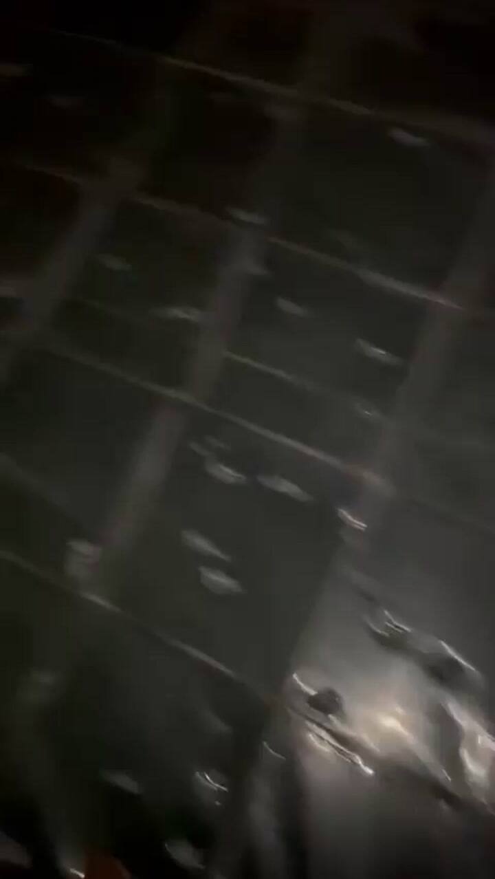 Techo Invernadero