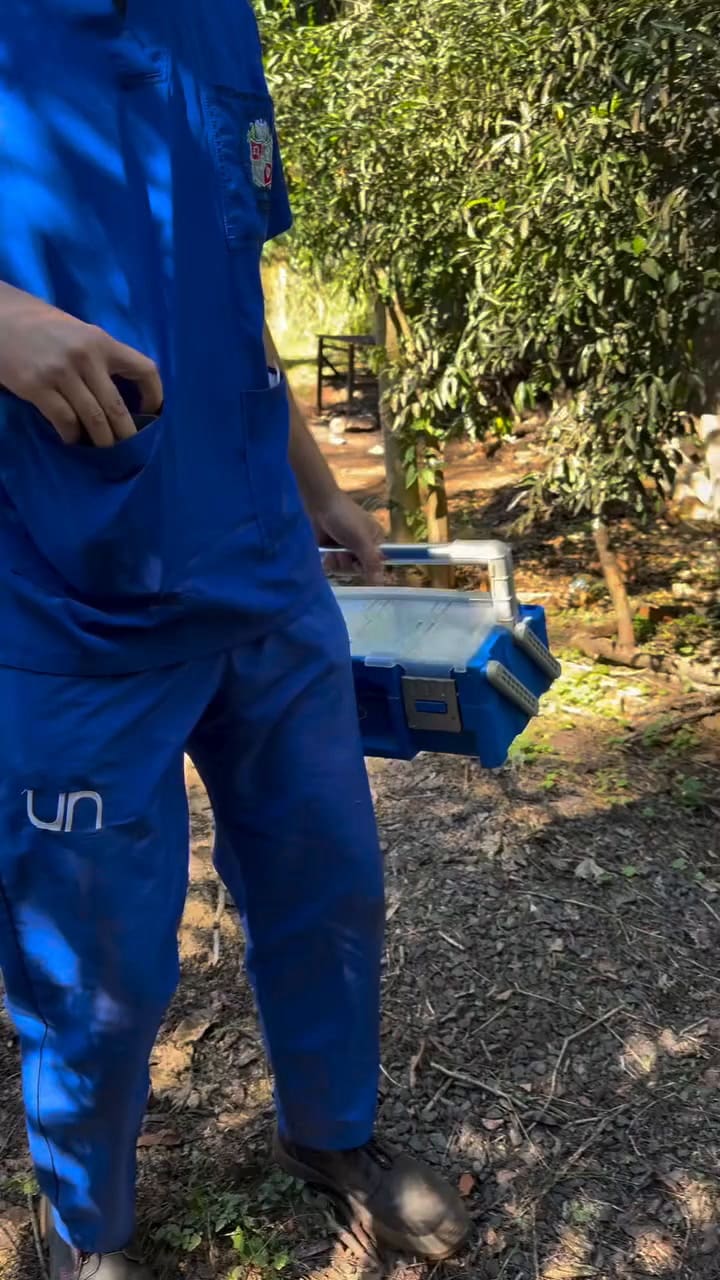 Rescate de una corzuela parda en Oberá, Misiones