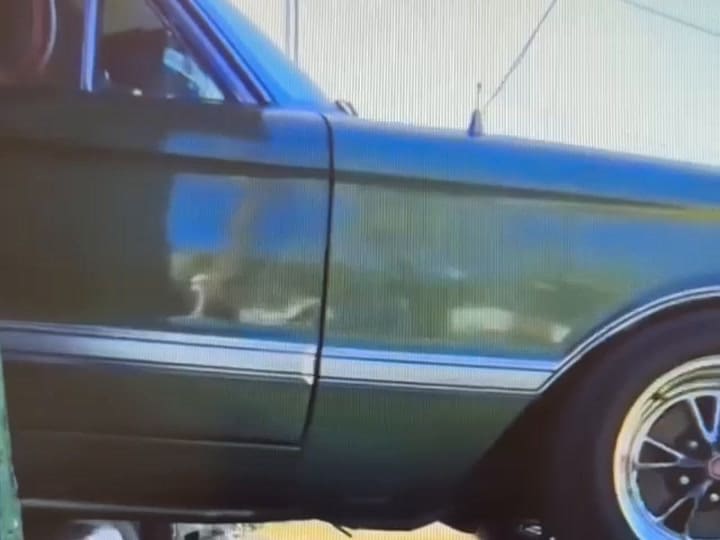 Falcon Policía