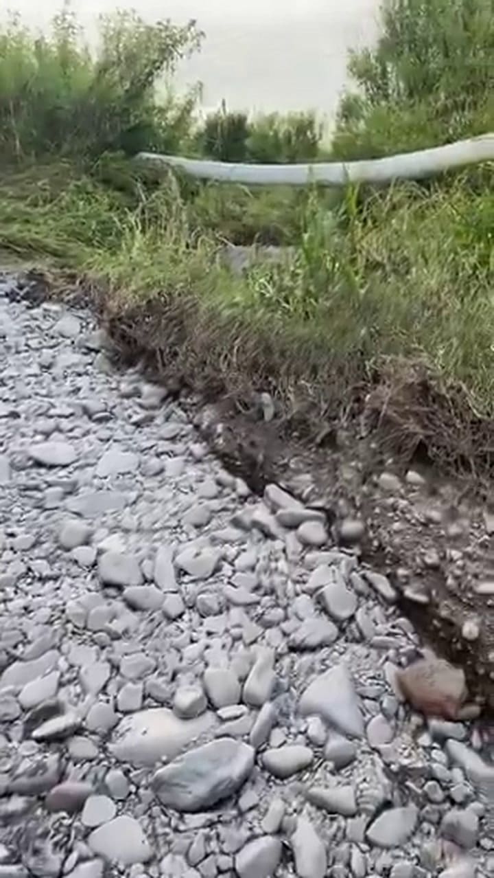 Video 4