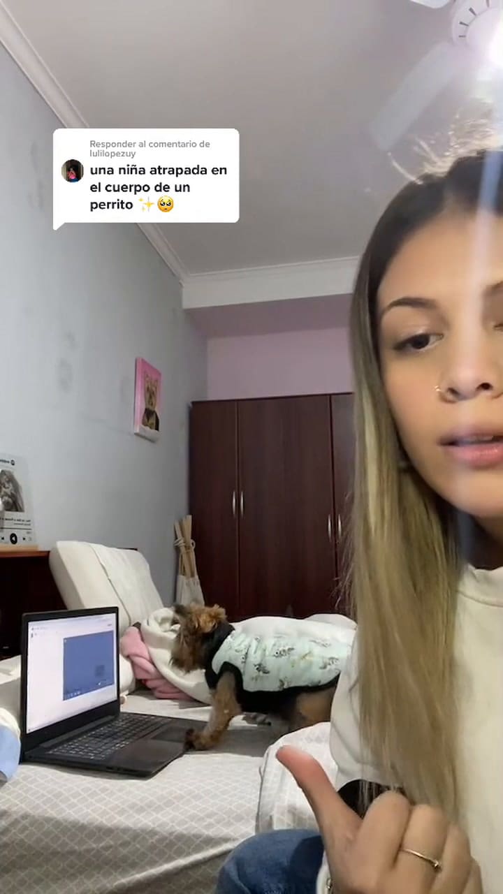 Lola, la mascota que es viral en TikTok