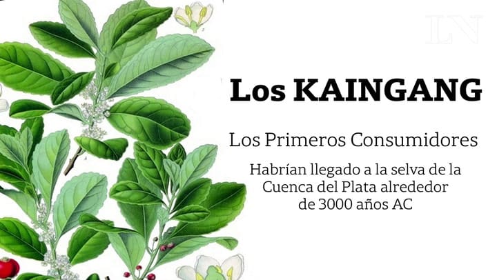 Kaingang