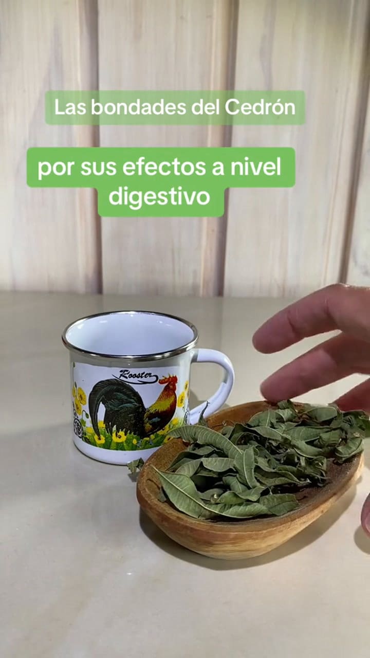 Las Bomdades Del Cedrón, Una Hierba Riquísima Que Nos Brinda Una Rica Infusión.