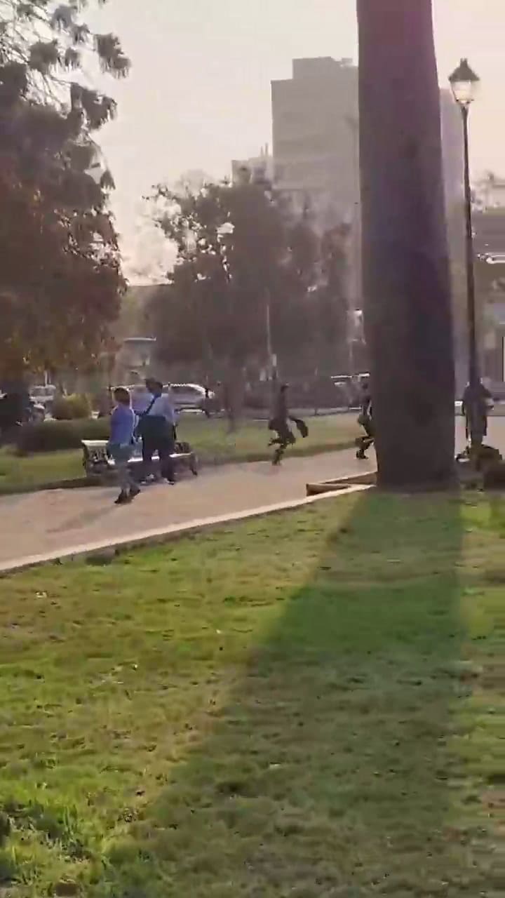 Robos piraña en Plaza O'Higgins