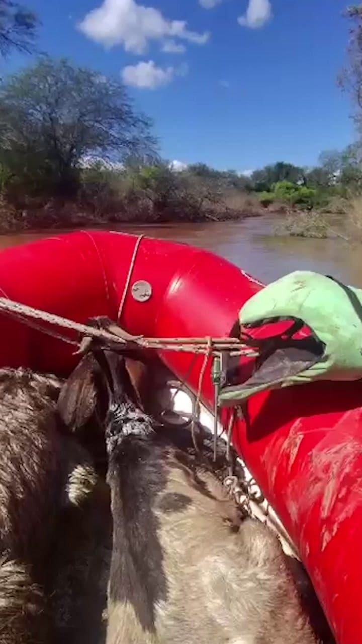 El rescate