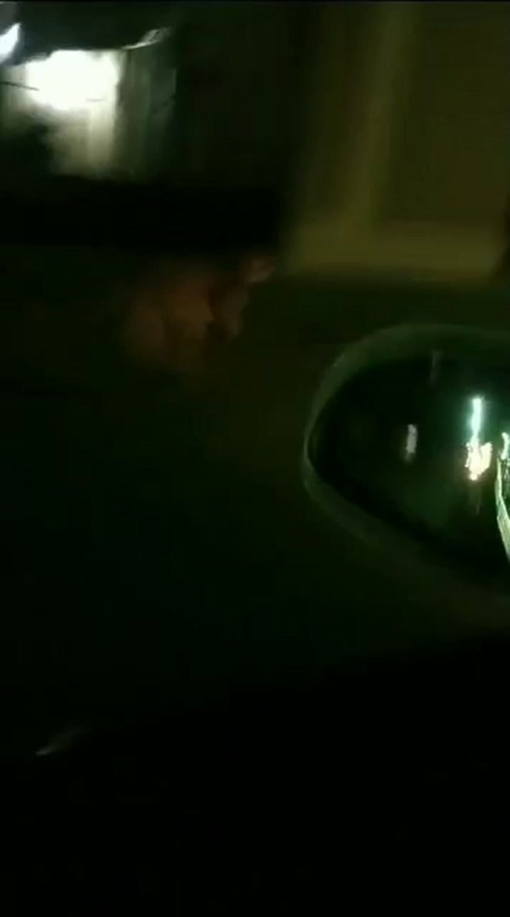 Videoplayback
