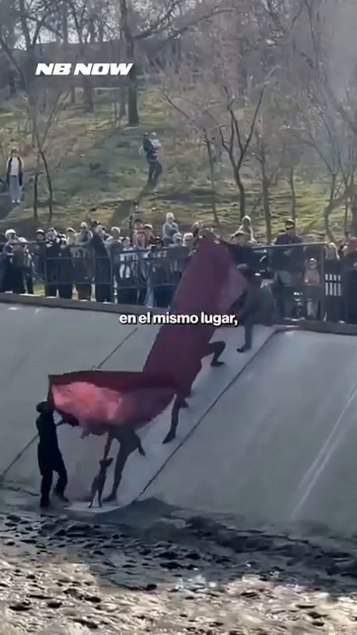 La historia completa del rescate del perro callejero en Kazajistán