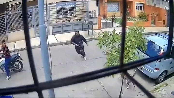 El momento en el que dos perras evitaron que motochorros le roben a un hombre