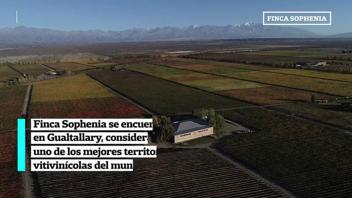 Finca sophenia